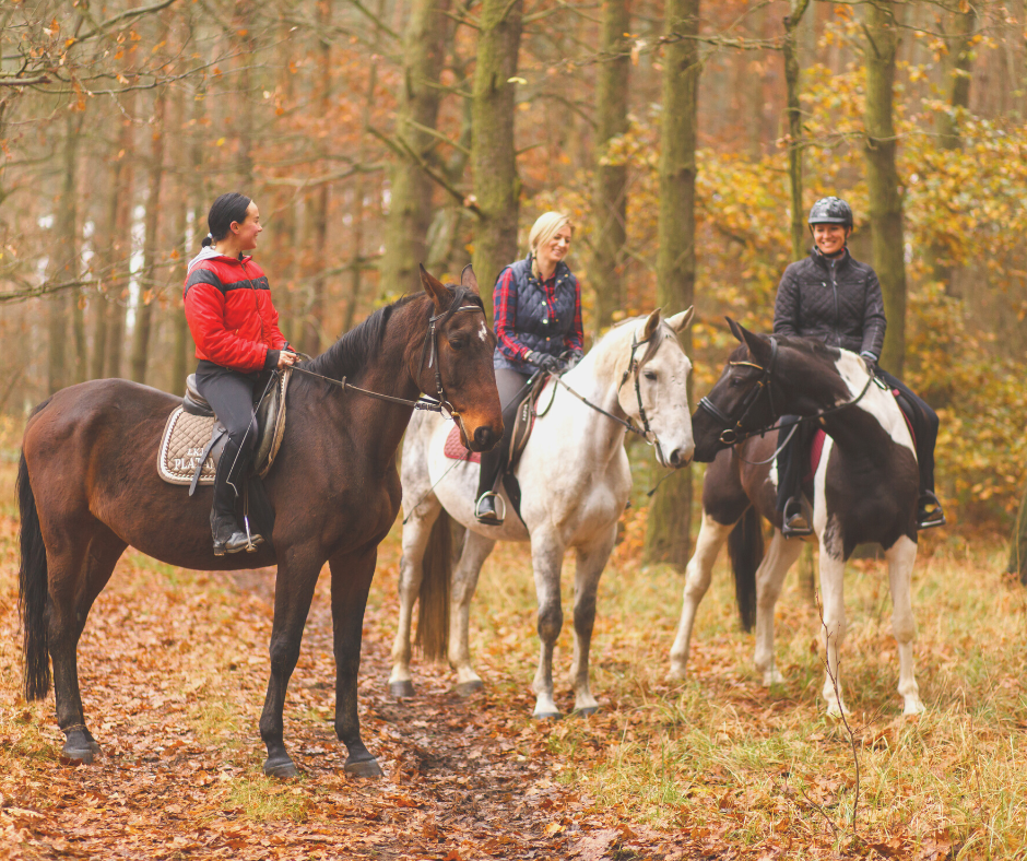 How Your Horse Barn Security System Can Help Keep the Peace